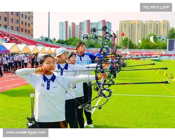 青少年反曲弓U16组单轮全能达标率同比下降12% 引发关注 青少年反曲弓U16组单轮全能达标率同比下降12% 引发关注