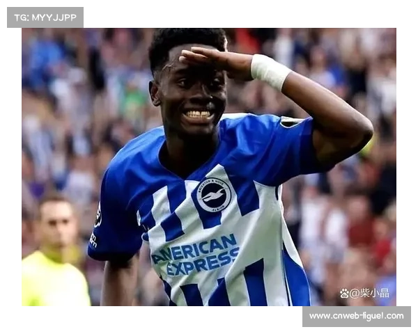 升班马桑德兰9轮斩获17分高居第二尽显黑马本色 升班马桑德兰9轮斩获17分高居第二尽显黑马本色